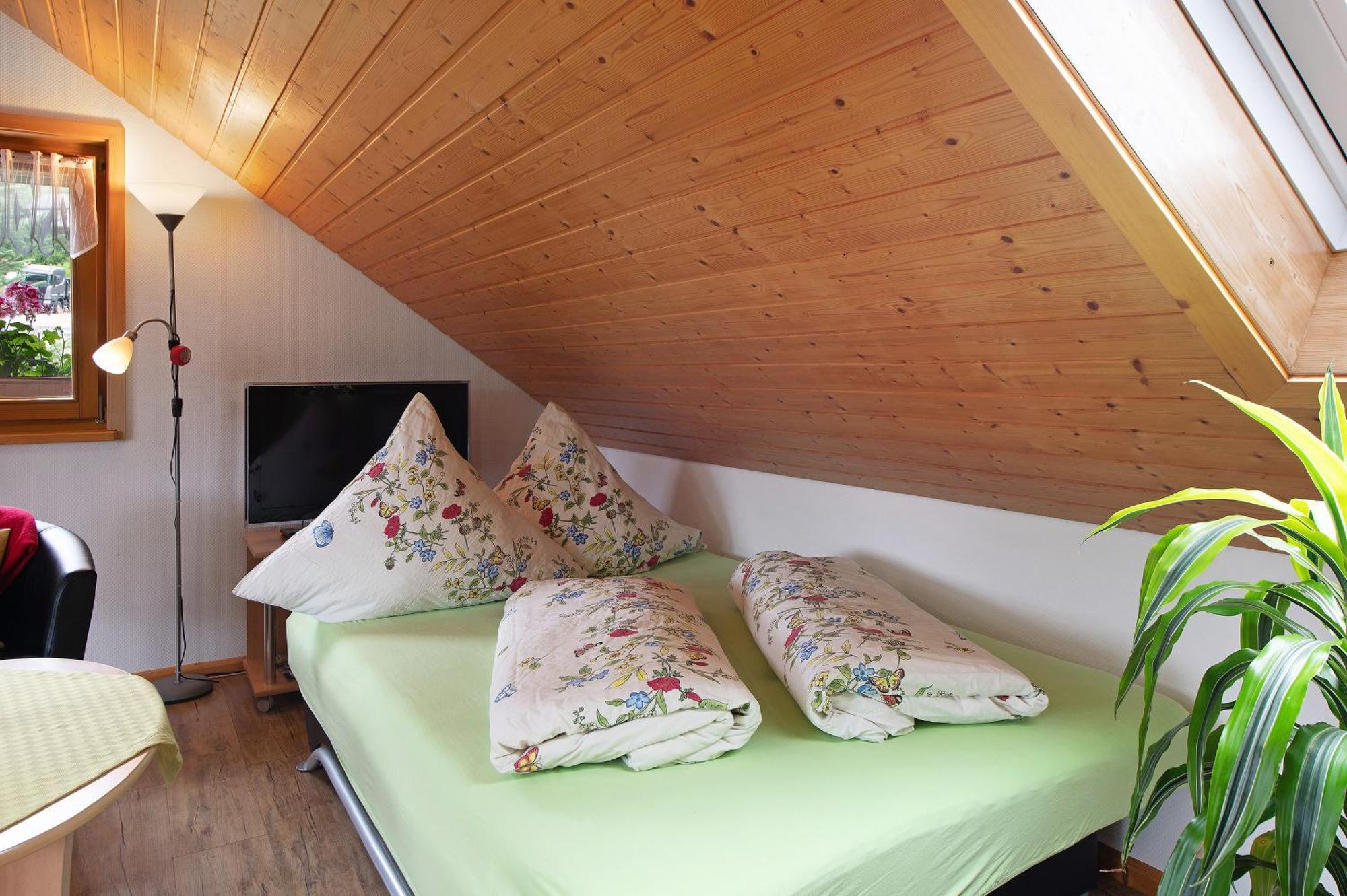 Ferienwohnung Blasi Mit Alpensicht Ibach Luaran gambar